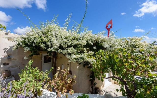 The Olive Mill Guest House