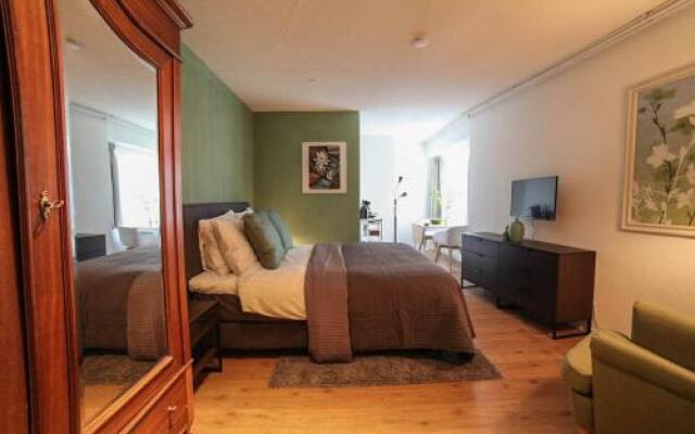 Pleasant Studio in the City Center
