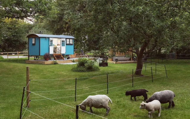 The Wriggly Tin & Baa Spa at Tregoose Old Mill