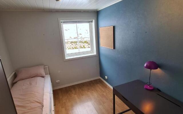 Cheerful 4-bedroom home with fireplace, 1,5km from Flåm center