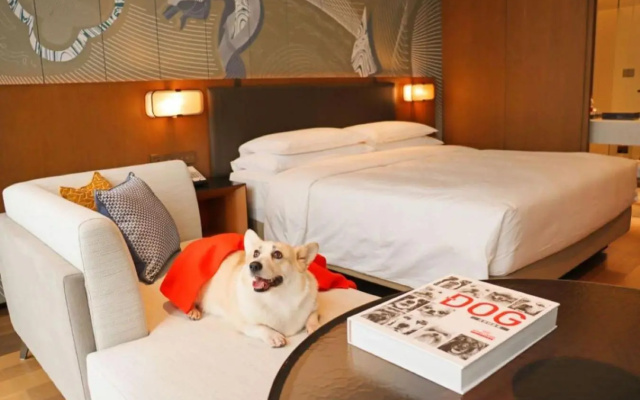 Hyatt Centric Gaoxin Xi'an – Guest Rooms – Xi'an