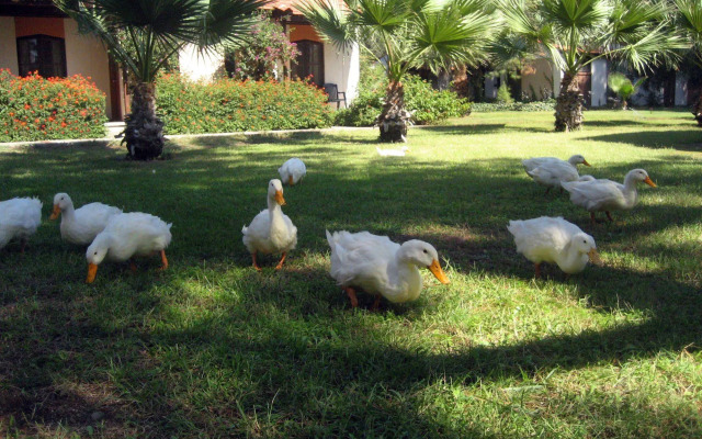 Denizati Holiday Village