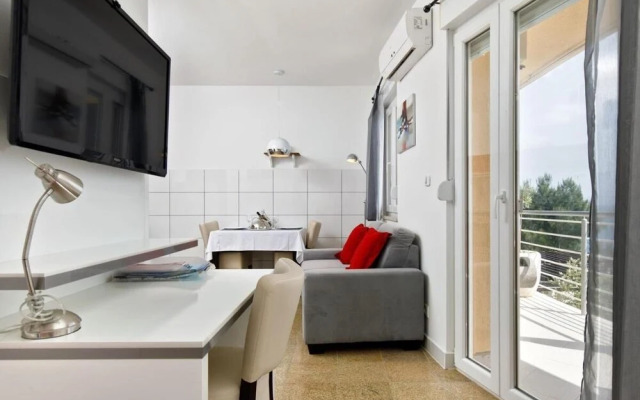 Seagull - Ark Beach Studio