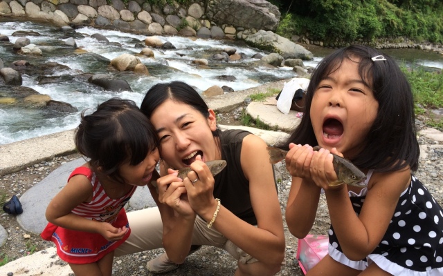 Cottege Stropen House