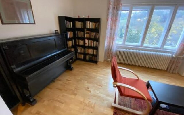 Ebony Pianino Apartment