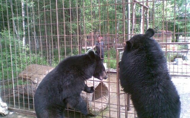 Changbai Mountain Tianci Travel Village