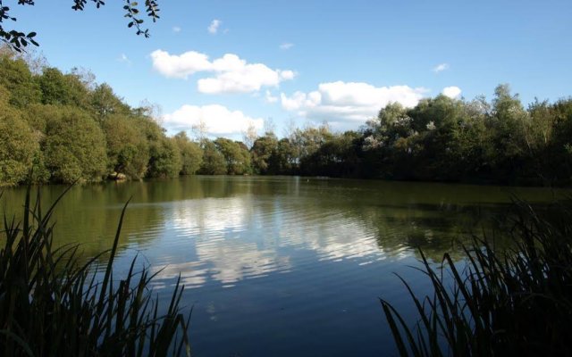 Rookley Country Park