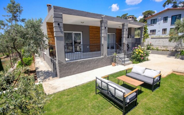 Villa With Private Pool Surrounded by Olive Trees