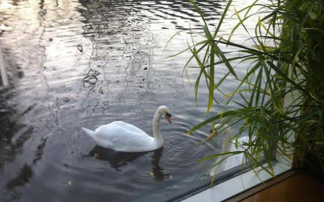 Bed and Breakfast Houseboat Harmony