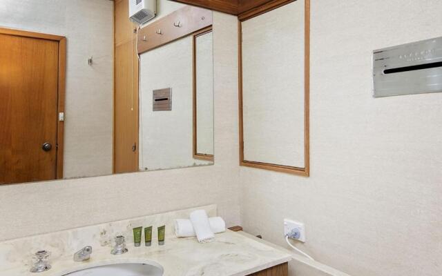 Grey Kangaroo- On Lake Jindabyne foreshore