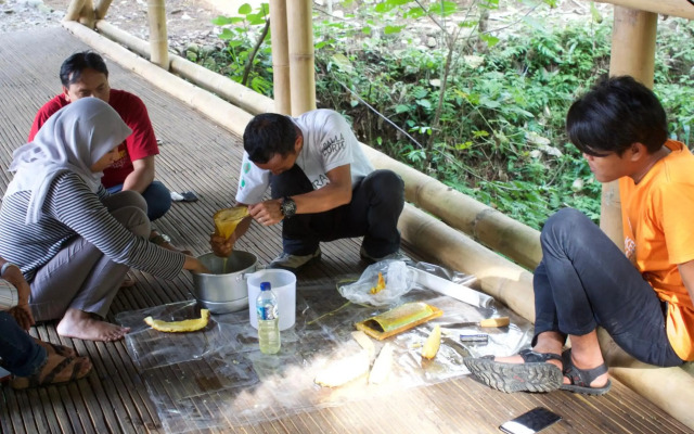 Ecolodge Bukit Lawang