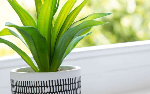 Park View Rooms & Relaxation