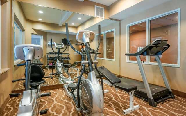 Comfort Inn & Suites Galt - Lodi North