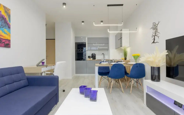 Dark Blue and Grey Apartment by Renters