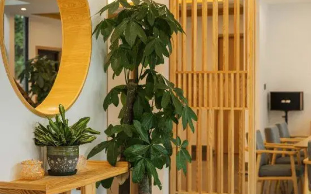 Yunshang Grassland Anji Suxi Landscape Homestay