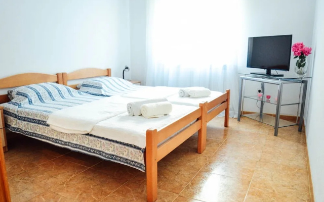 Waterfront Apartment Petrovina
