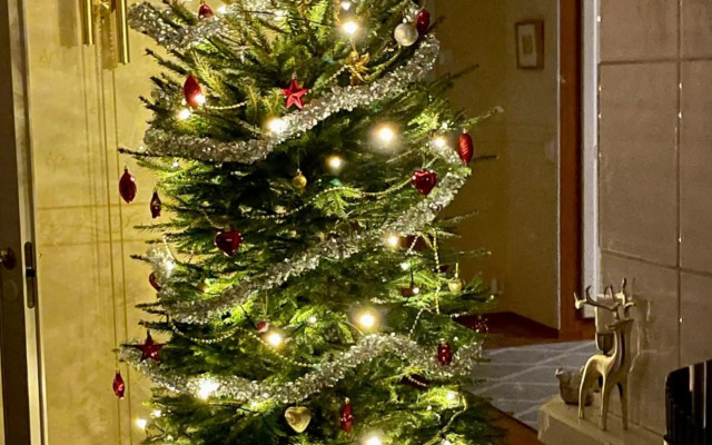 Cozy house close to Arctic Circle