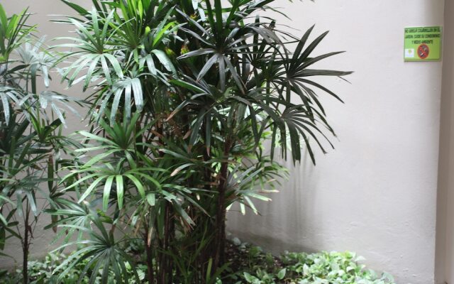 Department Serenity Selvanova for 8 People