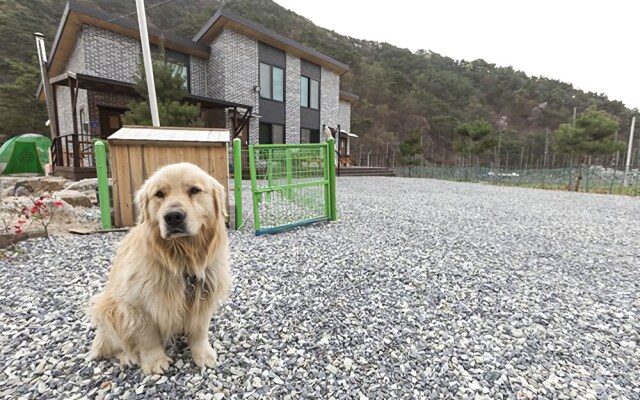 Jecheon Cacao Pension