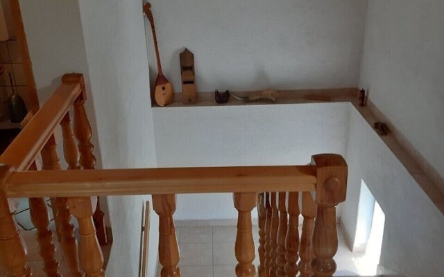 Holiday House Stipe