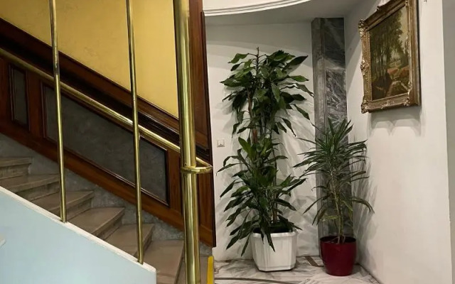 Hotel Viki