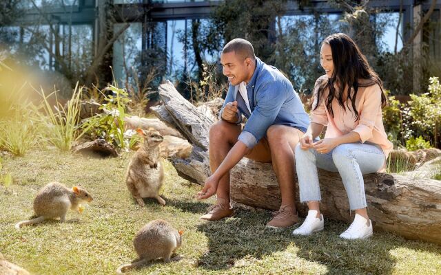 Wildlife Retreat at Taronga