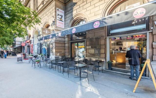 Luxurious Apartment At City Center