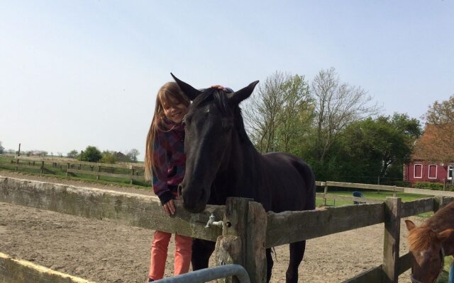 Reit- Und Ferienhof Maack