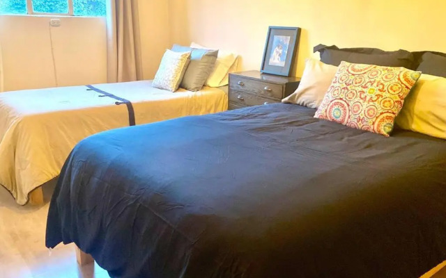 Amazing Cozy Apartment in Condesa