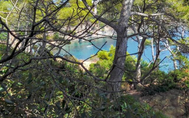 Typical Toulon apartment 50M beaches