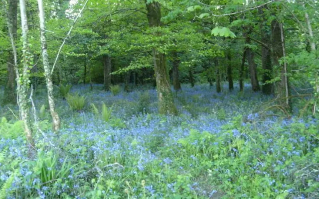 Sunrise Bed & Breakfast