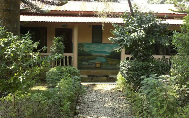 The 90's Sauraha
