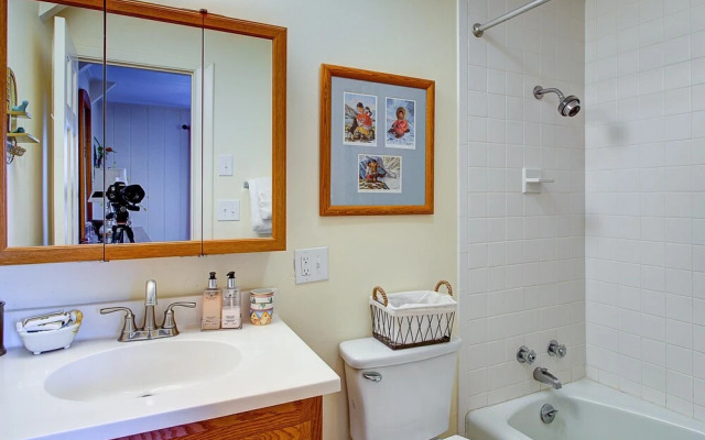 VCI - Tundra Swan Chalet