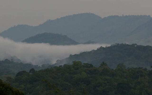 Silverback Lodge