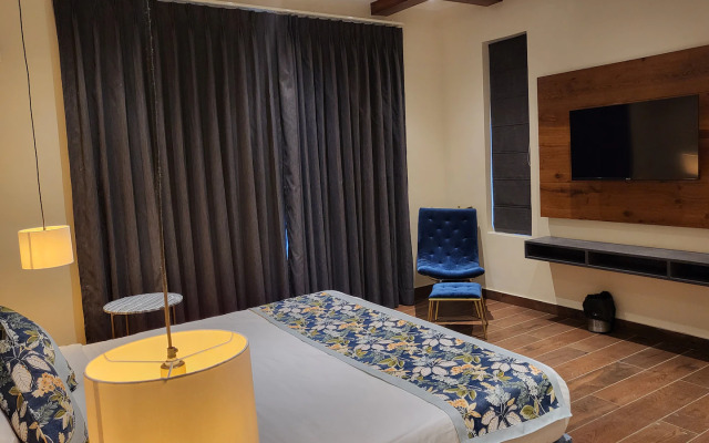 The Acorn By Shivraj