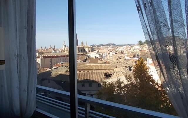 Tudela y Bardenas a tus pies