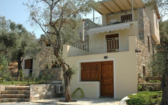 Gera's Olive Grove