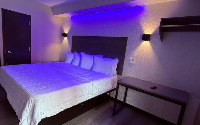 The Vine Hotel Bronx