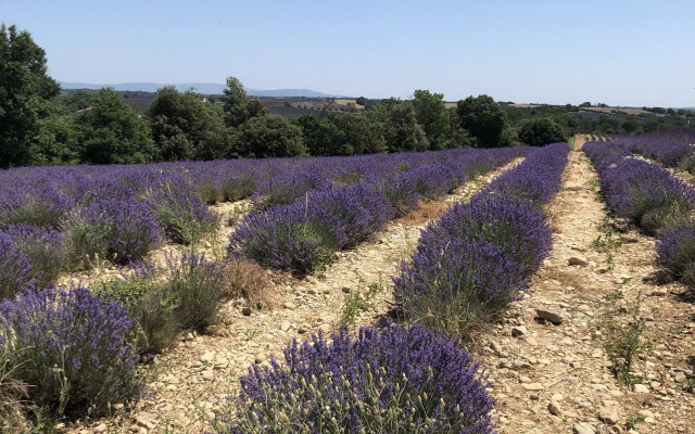 Holiday Home Reillanne I