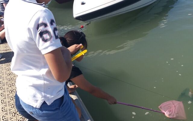 2013 Willerby Sunset Static Caravan Holiday Home