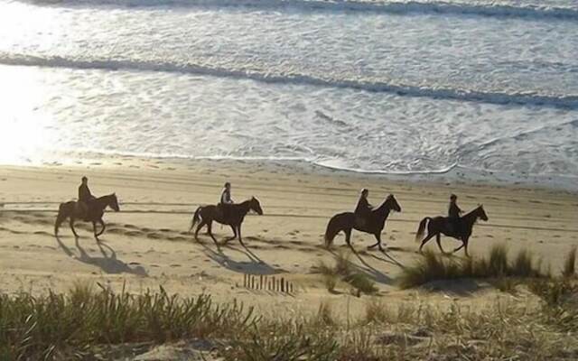 Chambres D'hôtes 1001 Nuits