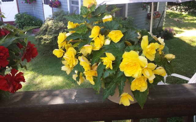 Beach Plum Motor Lodge