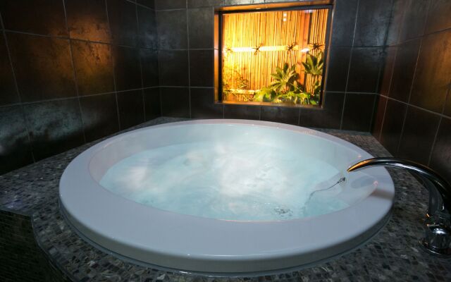 Hosta Umekoji Miyabi