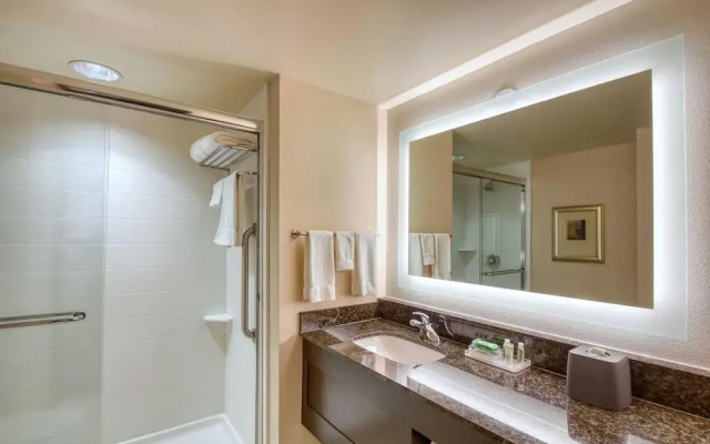 Holiday Inn & Suites Atlanta Airport-North