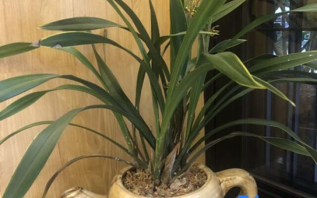 Hengyang Hengyue residence·Homestay (Nanyue Damiao Branch)