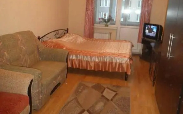 Solo Apartment Kamenskaya