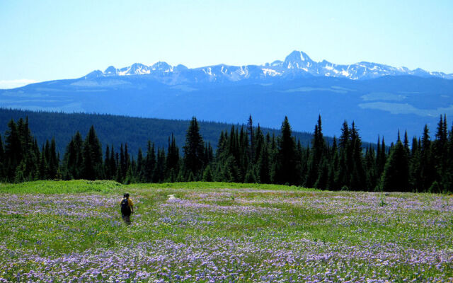 Wells Gray Guest Ranch