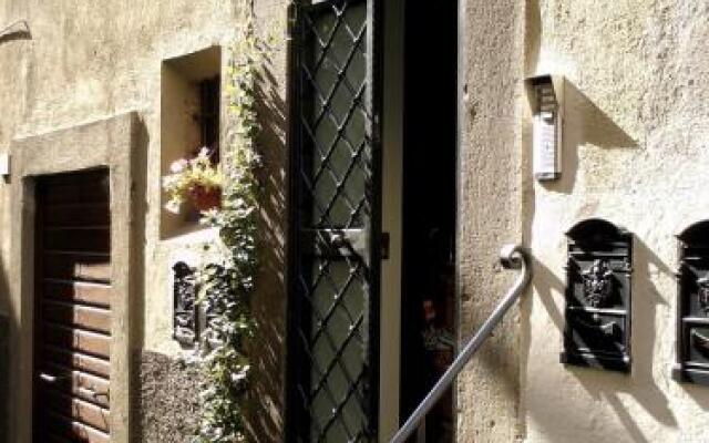 La Quiete di Viterbo