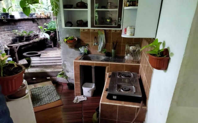 Borobudur Homestay Durian