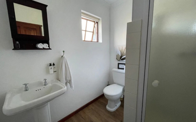 Endless Vineyards at Wildekrans Wine Estate